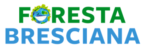 Foresta Bresciana